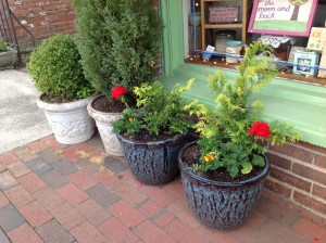 Black Mountain Beautification Committee Flowers